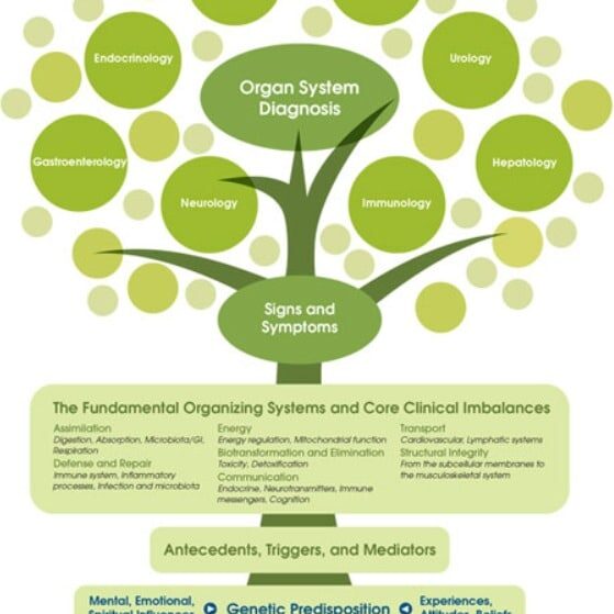 IFM Functional Medicine Tree 170